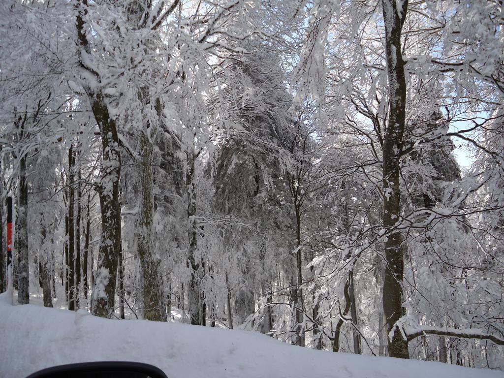 Berghotel Schiller Schonach im Schwarzwald Εξωτερικό φωτογραφία