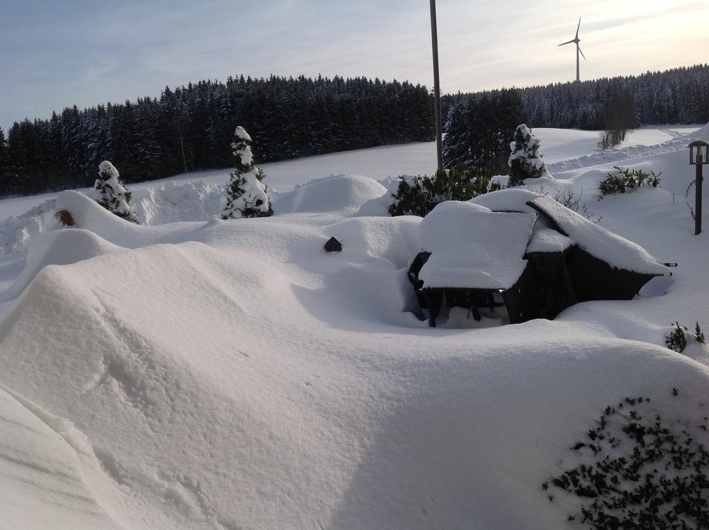 Berghotel Schiller Schonach im Schwarzwald Εξωτερικό φωτογραφία