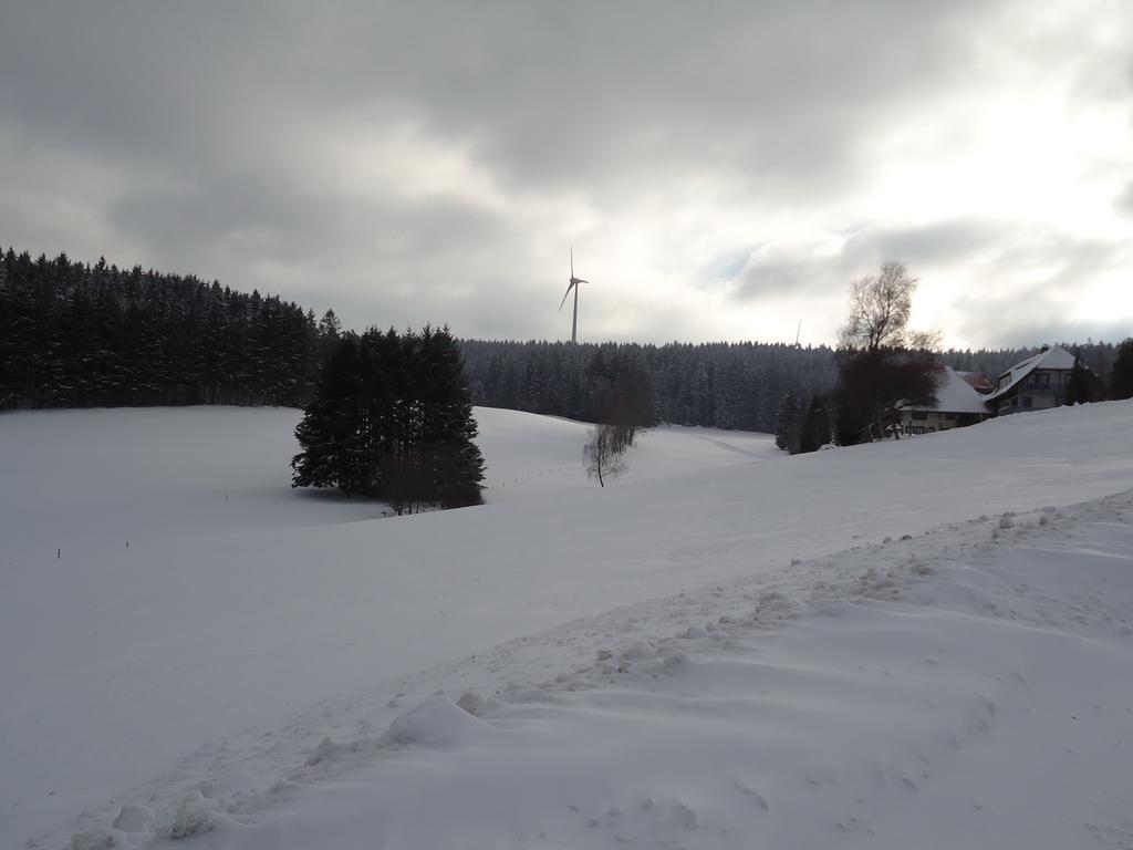 Berghotel Schiller Schonach im Schwarzwald Εξωτερικό φωτογραφία